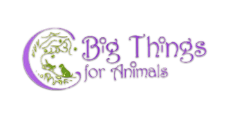 C Big Things for Animals