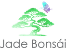 Jade Bonsái