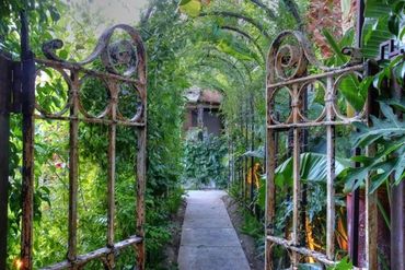 metal gates opening into a rose garden