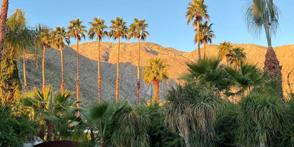 Palm Springs botanical garden property for rent for special events, weddings, vacations.