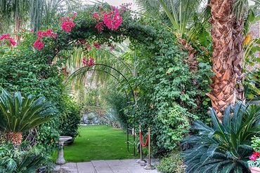 botanical garden wedding arch
