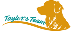 Taylor's Team
