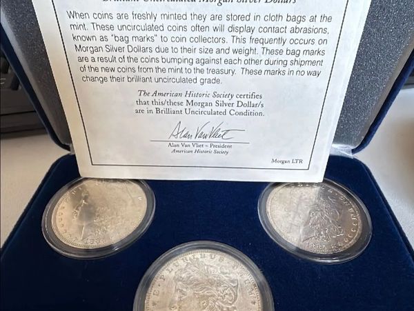Set of Brilliant Uncirculated Morgan Silver Dollars with grading note inside a display case.
