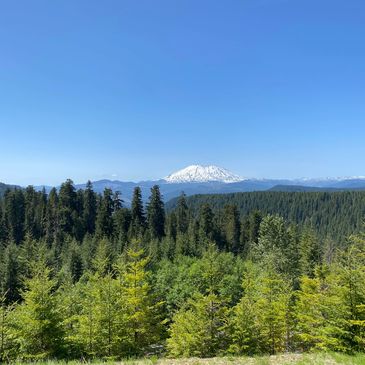Mount Adams from a distance on a day with no clouds in the sky