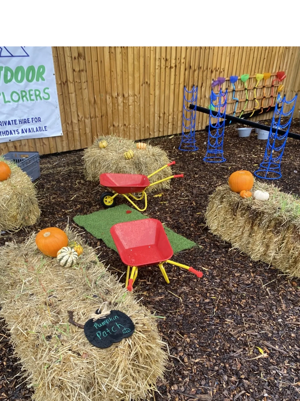 Pumpkin picking in our very own patch! Complete with child appropriate wheel barrows 