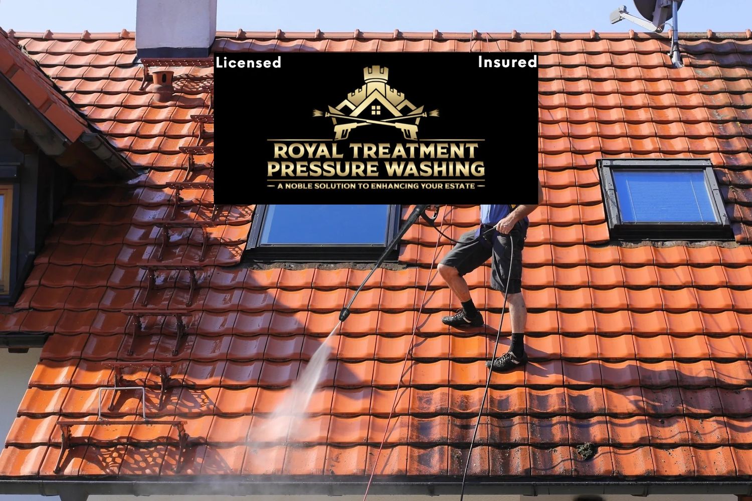 Professional roof pressure washing service in action, showing a clean roof transformation.