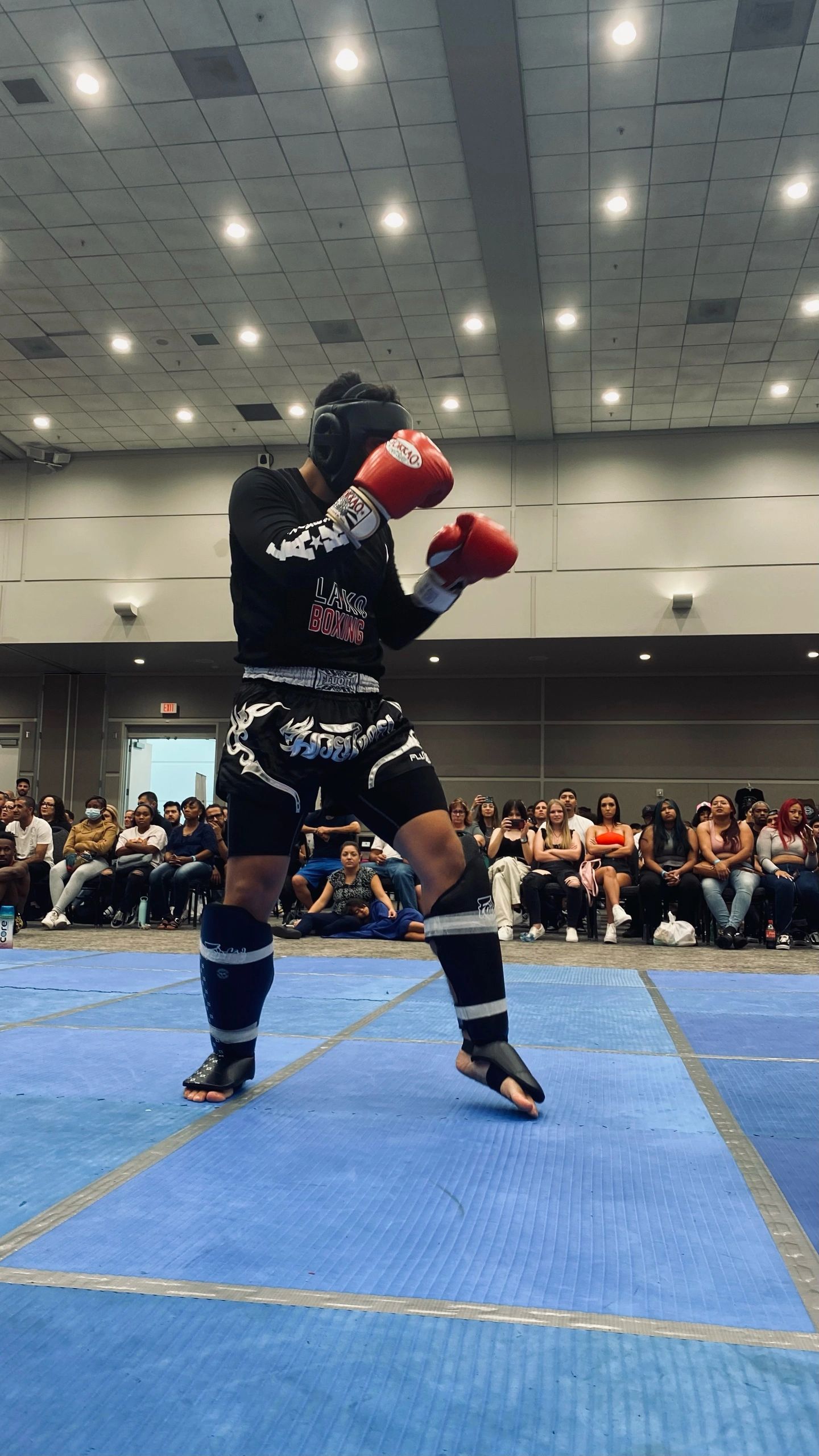 Mobile Personal Trainer Los Angeles | Boxing & Balance Fitness