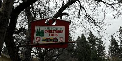 Photo showing Apple Country Road sign