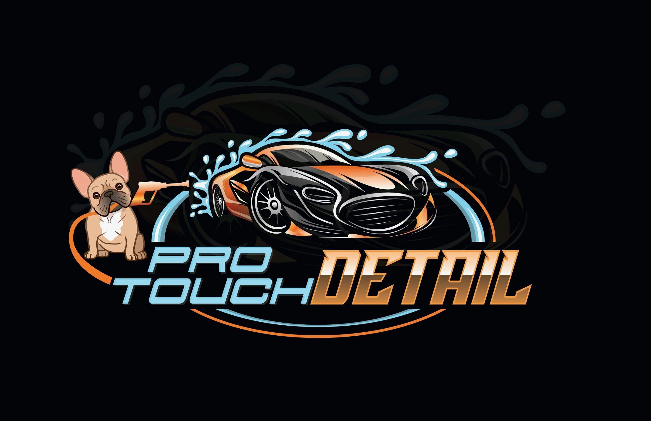 Pro Touch Mobile Detailing - Virginia Beach Professional Mobile Detailing