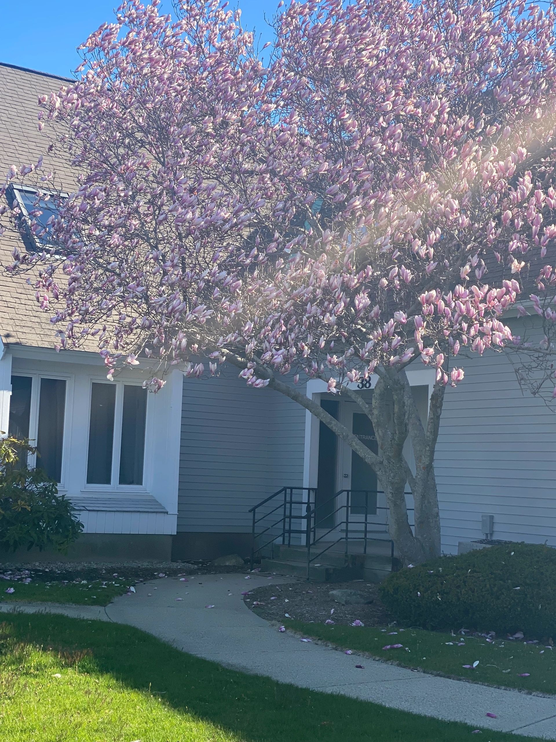 Cape Cod Psychological Associates, Inc.