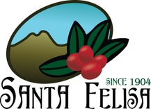 Santa Felisa