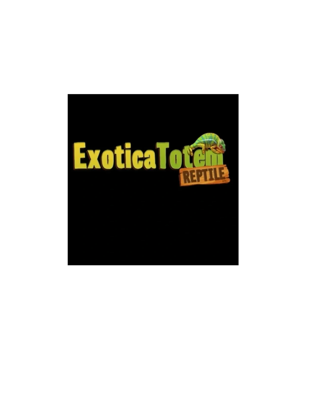 Exotica Totem Reptile Breeding and Selling Reptiles We Also Offer