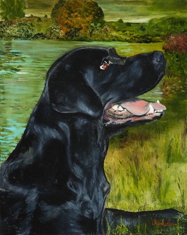Black Labrador dog panting outdoors.
