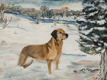 Dog standing in snowy field.