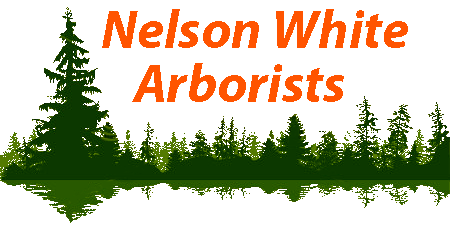 Nelson White Arborist