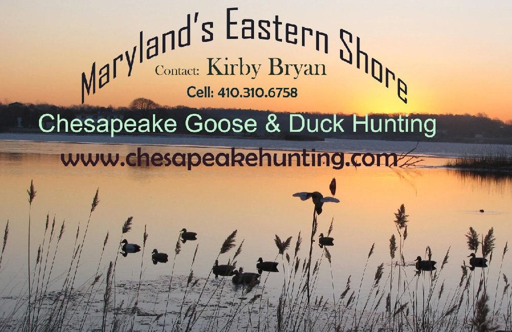Contact chesapeake hunting