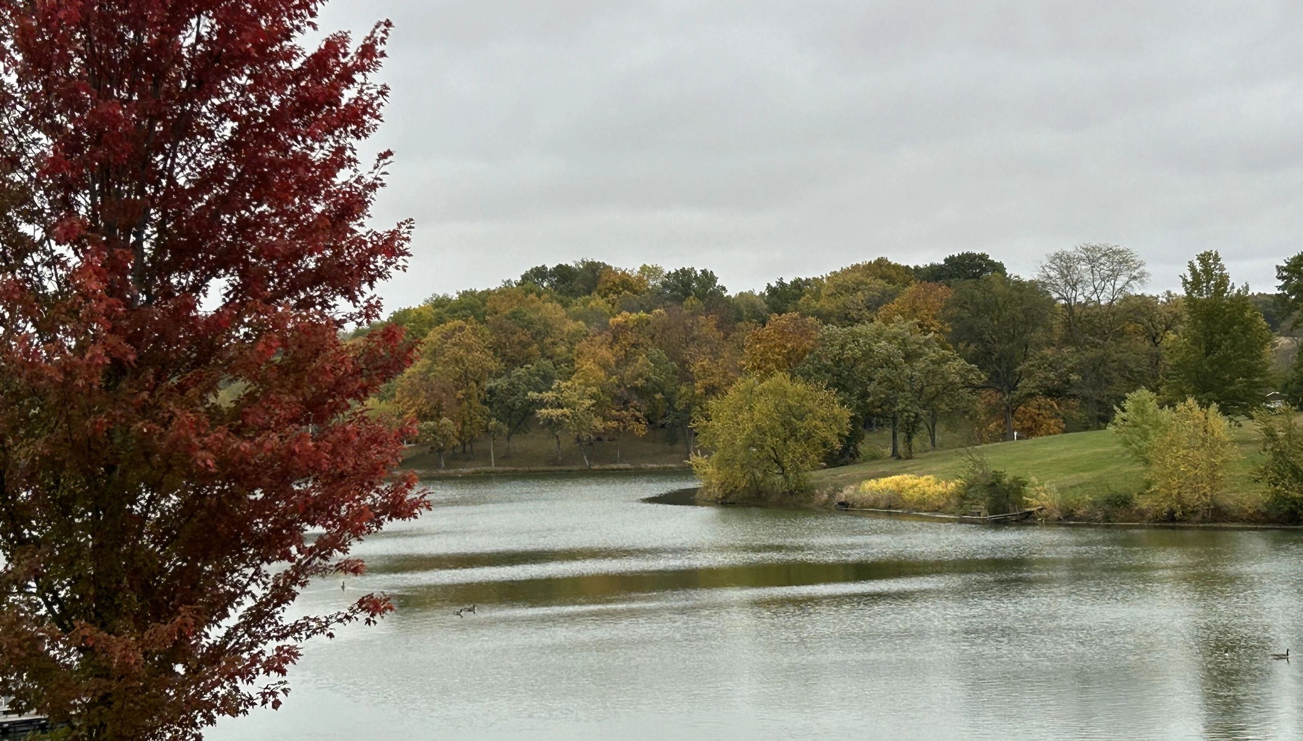 Crystal Lake Inc, HOA