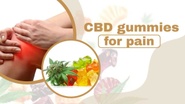 TriFola Farms CBD Gummies Pain Relief