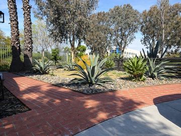 A sunny outdoor garden with succulents and trees along brick pathways.