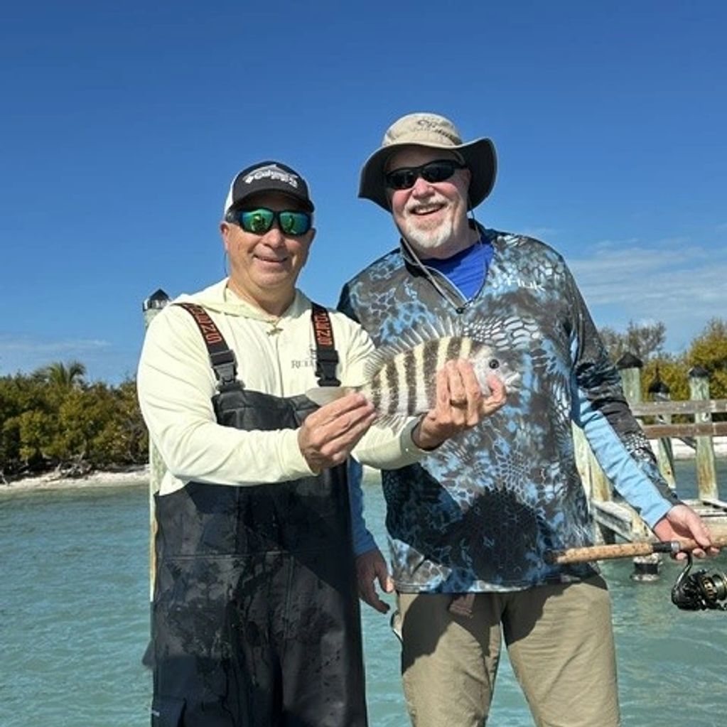 A nice winter time Sheephead
