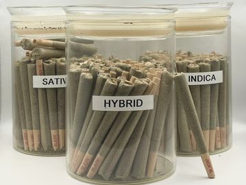 Three jars labeled Sativa, Hybrid, and Indica filled with pre-rolled joints.