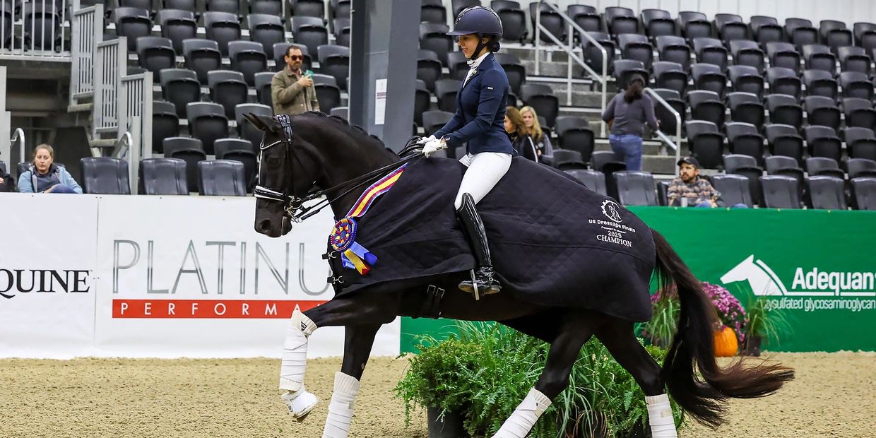 Equestrian champion riding a black horse indoors.
