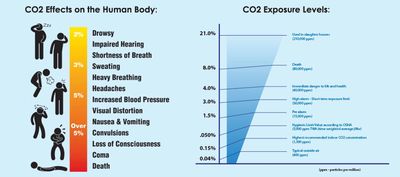 risks of co2 gas exposure

