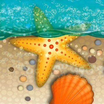 Illustration of a sea star and seashells on pebbles at the edge of the water.