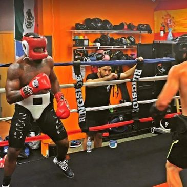 boxing, boxing training