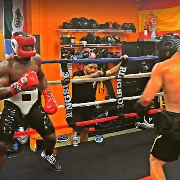 boxing, boxing training, boxing gym