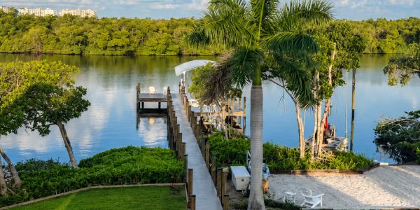 Scenic waterfront dock surrounded by lush greenery and palm trees under a clear sky.