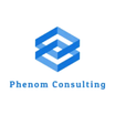Phenom Consulting LLC