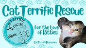 We rescue and care kittens and cats.
https://www.catterrificrescue.org
​