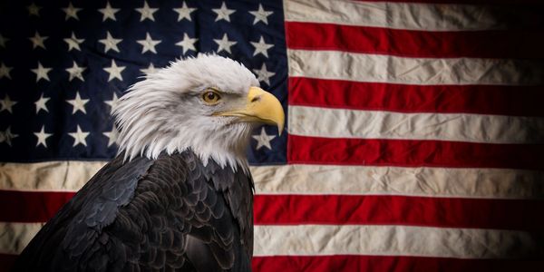 A bald eagle in front of an American flag.