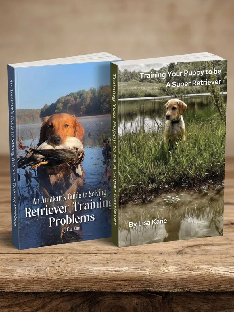 Master retriever training with Lisa Kane’s essential guides. Build strong puppy foundations and solv