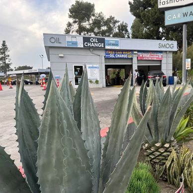 Fashion Square Car Wash’s Landscape is Drought Resistant Native to California Plants