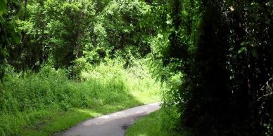 Click Here for Amazon