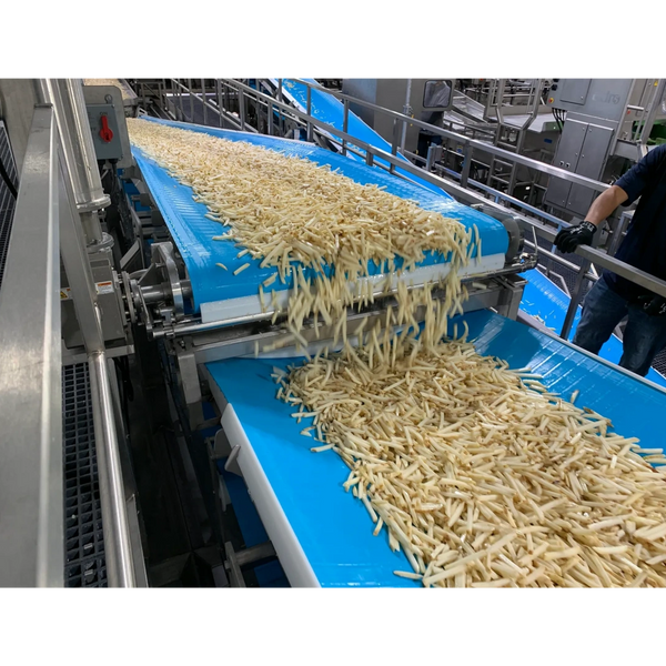 fries on conveyors during commissioning startup operations observed by project manager