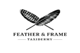 Feather & Frame Taxidermy