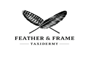 Feather & Frame Taxidermy