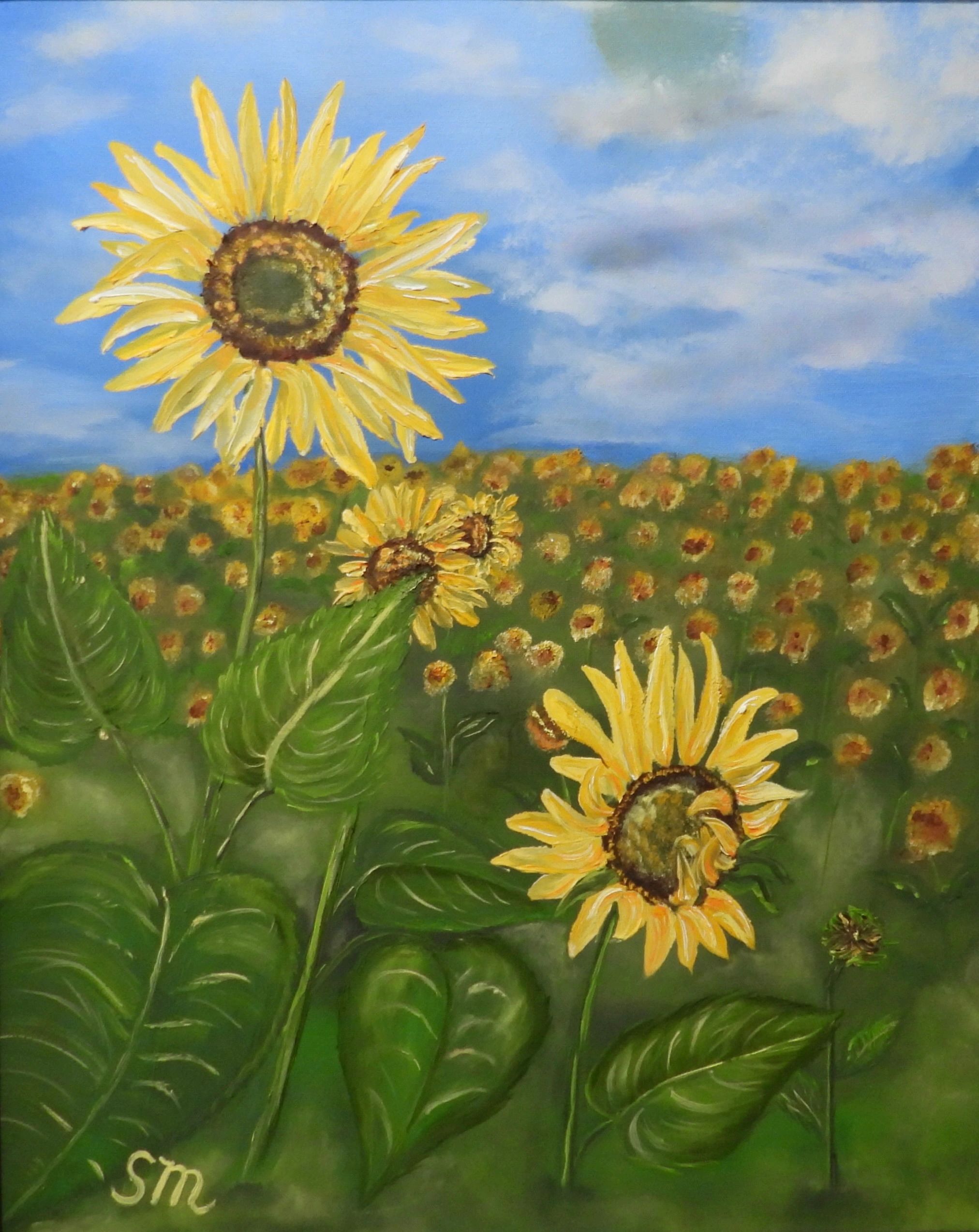 Sunflowers swaying in the breeze an sunshine.