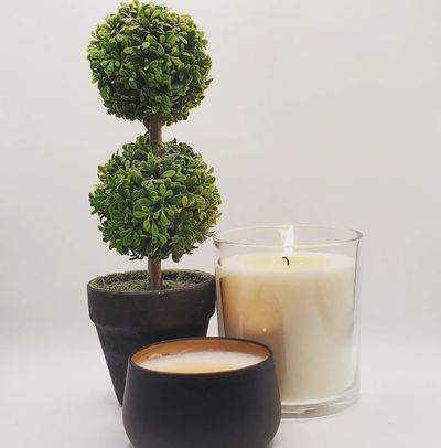 Decorative green topiary with two candles on a white background.