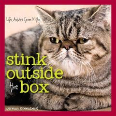 STINK OUTSIDE THE BOX