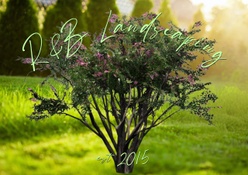 Rogelio's Lawn Service and Landscape Work
