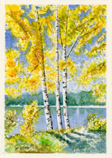 Birch Trees in the Fall watercolor 