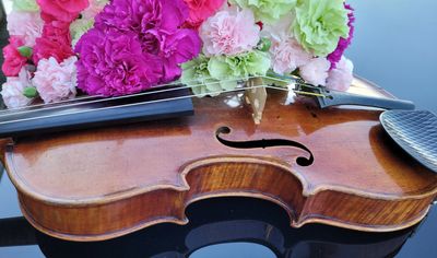Violin and Flowers