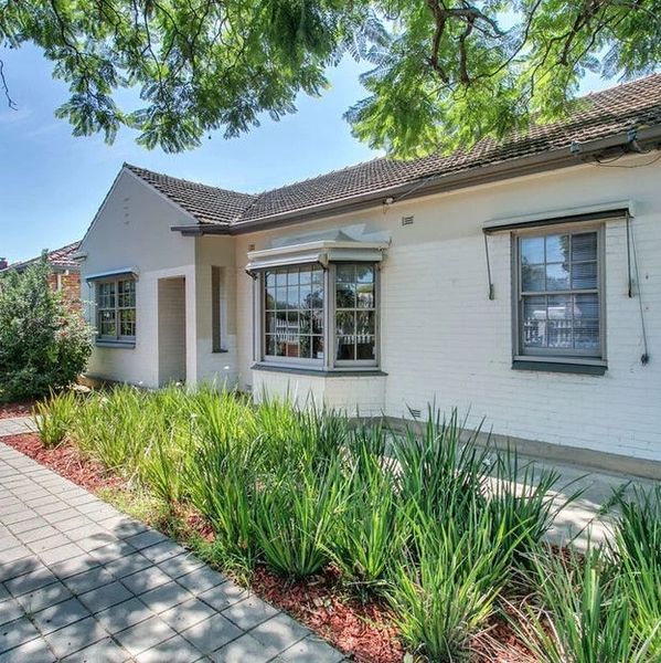 Cozy white brick house with a tiled roof and a paved walkway surrounded by greenery.