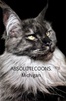 Absolutecoons mi