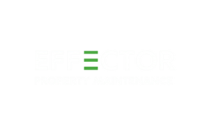 effectorltd.co.uk