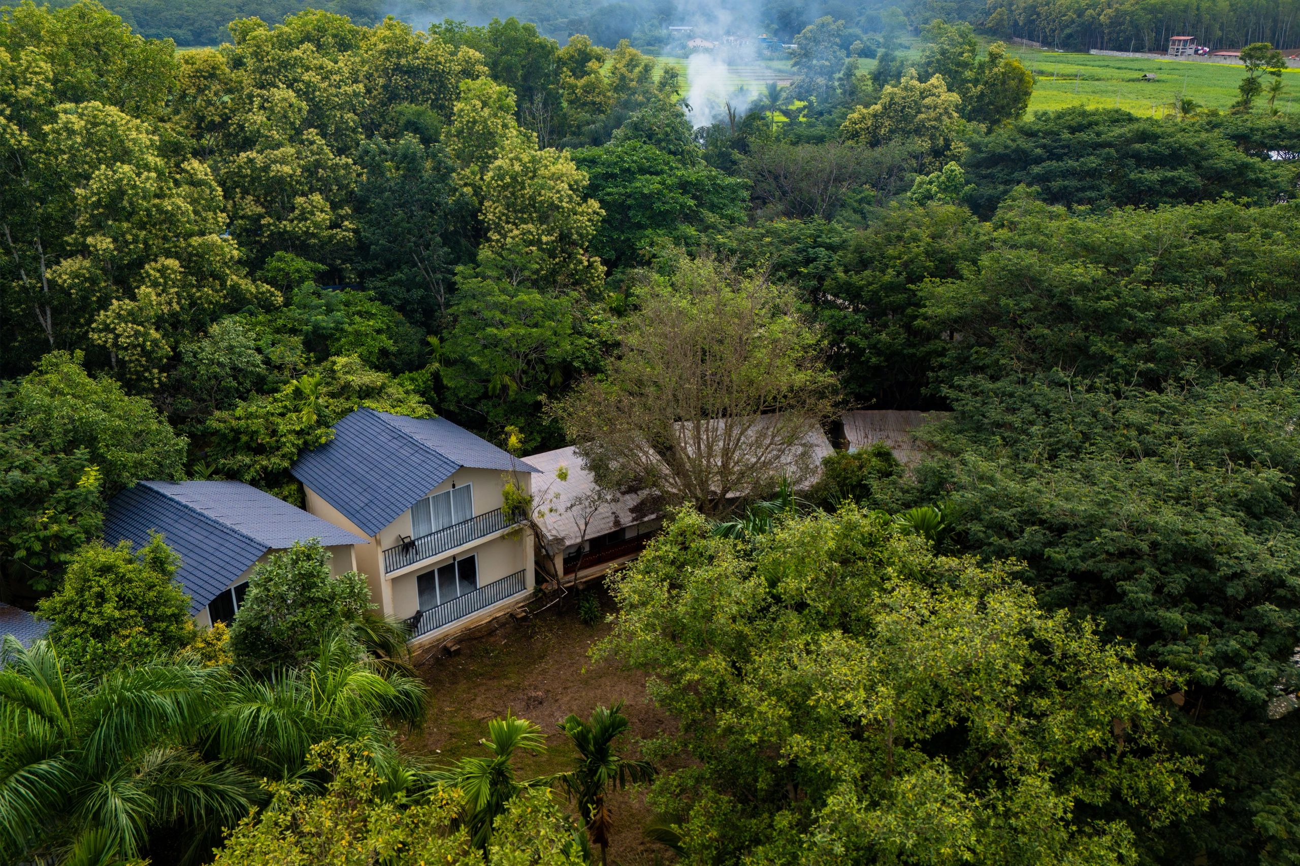 Dandeli Luxury Jungle Resort surrounded by lush green forest and tropical nature